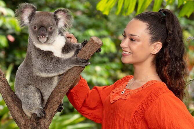 Kuranda Wildlife Experience Deluxe Multi Attraction Pass - What Makes This Experience Stand Out?