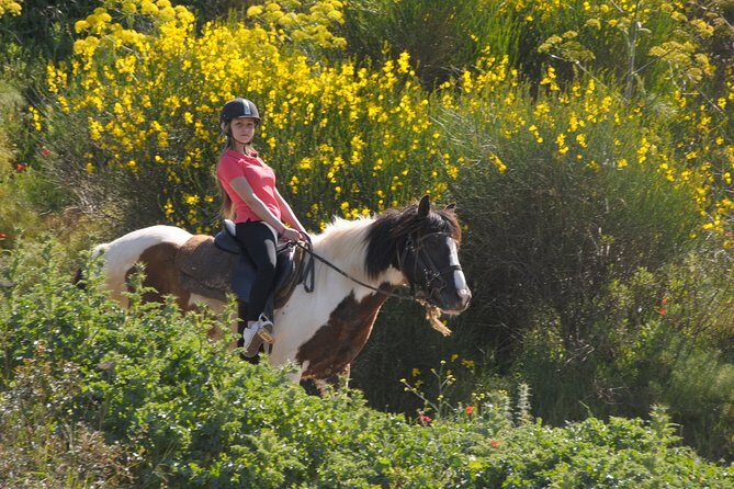 Kusadasi Horse Riding Beach and Forest options with Transfer - Who Is This Tour Best Suited For?