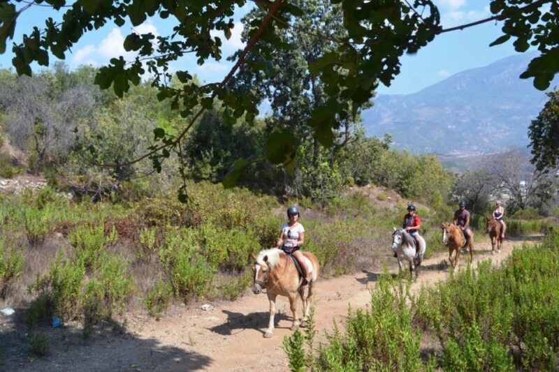 Kusadasi: Horse Riding Beach and Forest w/Transfer - An Honest Deep Dive into the Horseback Riding Experience in Kusadasi