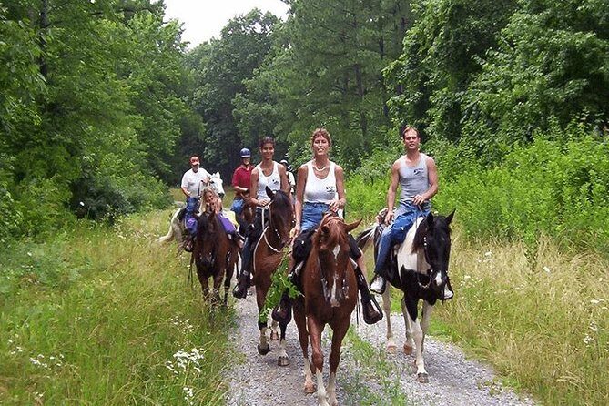 Kusadasi Horseback Riding - The Itinerary in Detail