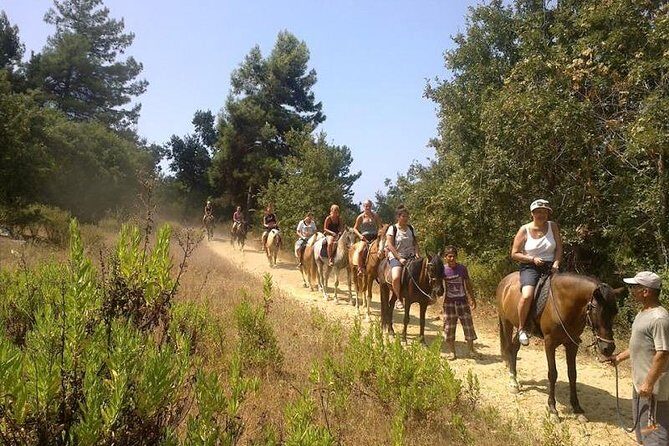 Kusadasi Horseback Riding - Authentic Experiences and Reviewer Insights