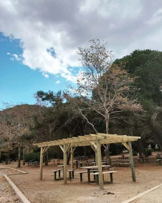 Kusadasi National Park Shinrin Yoku Tour - A Deep Dive into the Kusadasi National Park Shinrin Yoku Tour