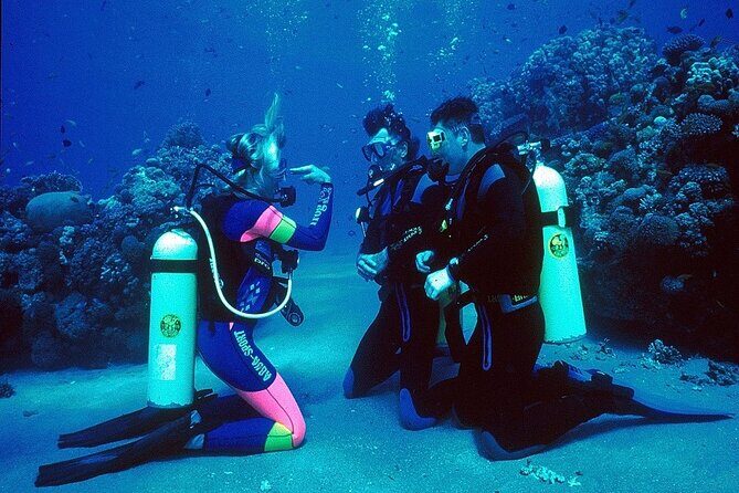 Kusadasi Scuba Diving - Final Thoughts