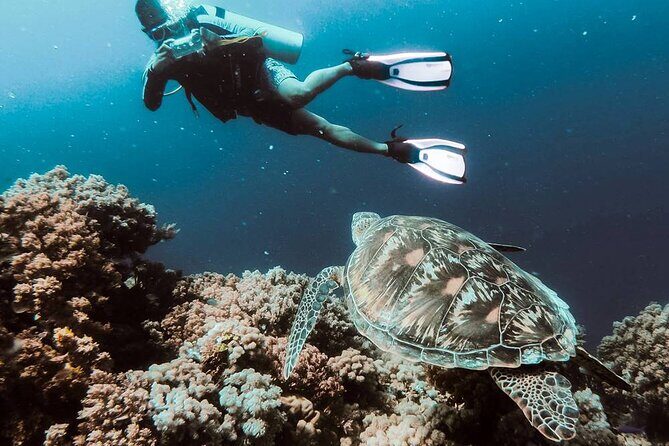 Kusadasi Scuba Diving Tour By Local Experts - A Closer Look at the Kusadasi Scuba Diving Experience