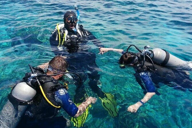 Kusadasi Scuba Diving Tour By Local Experts - Authentic Experiences From the Reviews