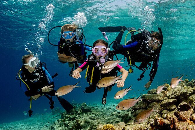 Kusadasi Scuba Diving Tour By Local Experts - The Sum Up: Who Will Love This Tour?