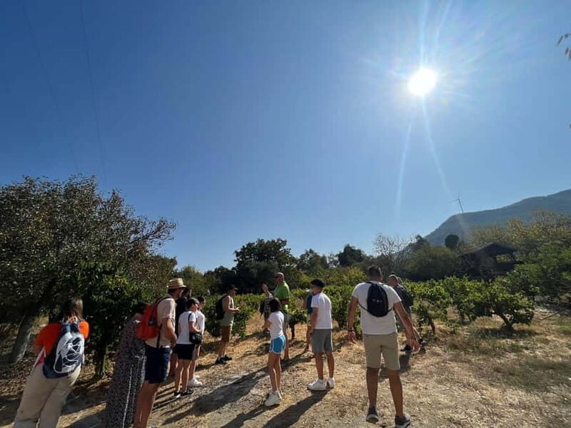 Kusadasi Village Tour & Traditional Food Tasting - The Value of the Experience