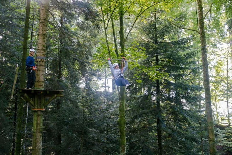 Küssnacht: Ropes Park Rigi Climbing Adventure with Entry Ticket - An In-Depth Look at the Rigi Rope Park Experience