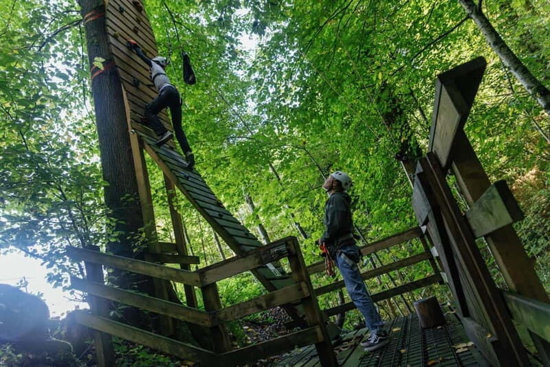 Küssnacht: Ropes Park Rigi Climbing Adventure with Entry Ticket - Who Will Love This Experience?