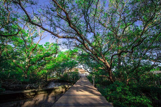 Kuta Beach eBike Private Tour - Who Should Book This Tour?