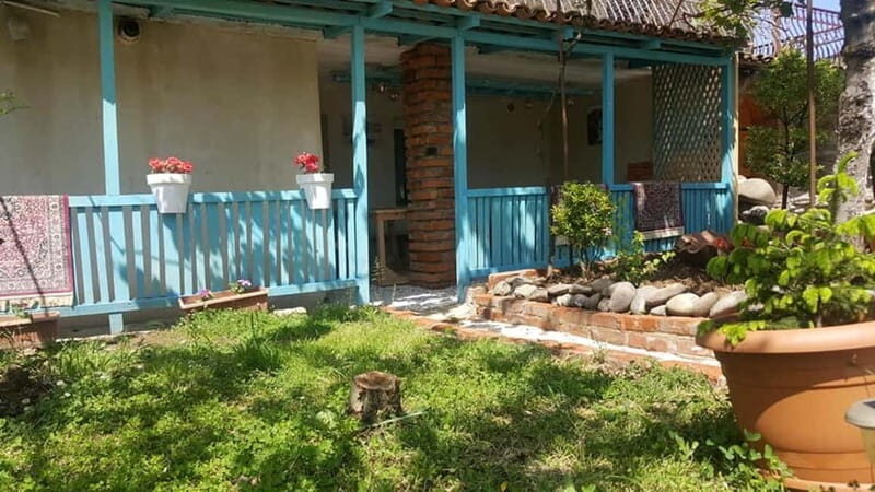 Kutaisi: Homey Dinner at Local Family - What Makes This Dinner Special?