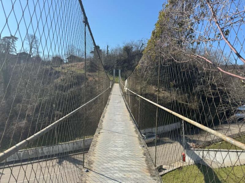 Kutaisi: Vani Archaeological Museum & Sulfur Baths Tour - An Authentic Look at the Vani Archaeological Museum & Sulfur Baths Tour