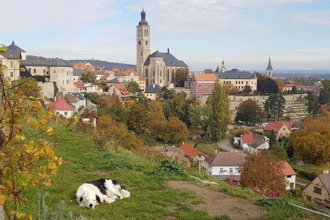 Kutná Hora and Bone church - private tour with PERSONAL PRAGUE GUIDE - A Deep Dive into the Tour Experience