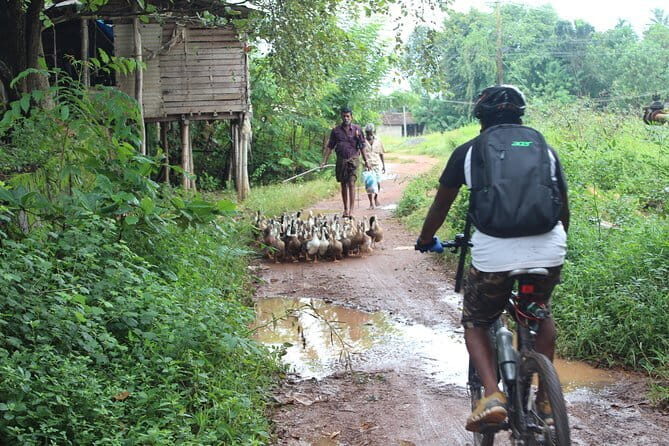 Kuttanad Rice Bowl By Cycle - Final Thoughts