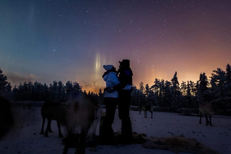 Kuusamo: Reindeer Farm Visit - Key Points