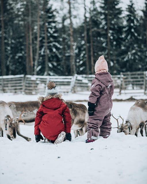 Kuusamo: Reindeer Farm Visit - Authentic Insights from Reviewers