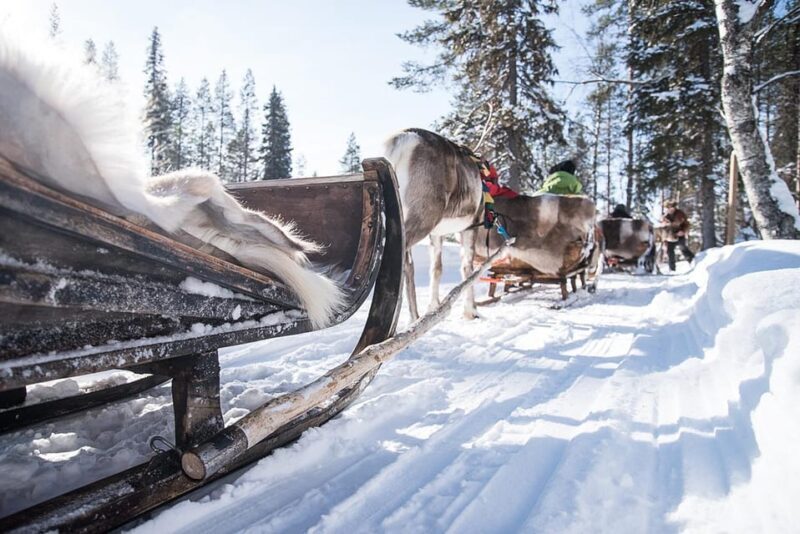 Kuusamo: Reindeer Sleigh Ride and Farm Visit - FAQs about the Kuusamo Reindeer Sleigh Ride and Farm Visit