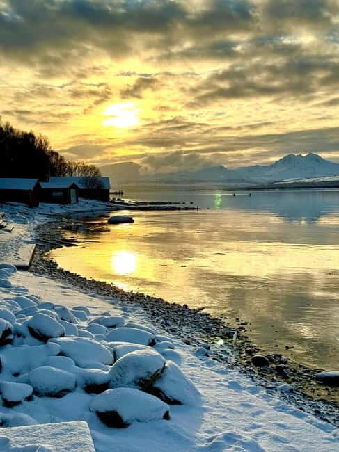 Kvaløya Island: Photography Tour with Snacks - An In-Depth Look at the Tour