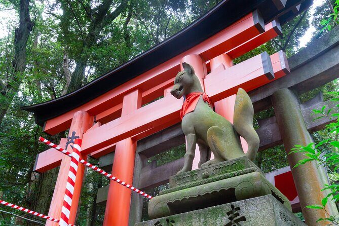 Kyoto 1 Day Golden Route Bus Tour - The Sum Up