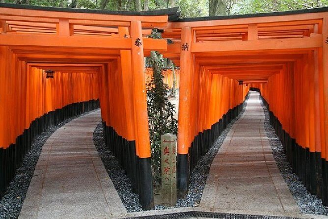 Kyoto Afternoon Tour (Round Trip from Kyoto) - FAQ