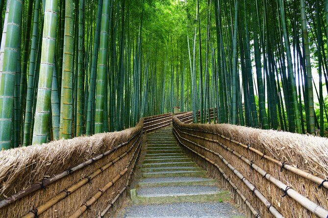 Kyoto and Miyama Full Day Tour from Osaka - Overall Value and Practicality
