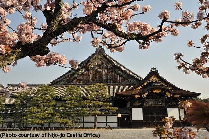 Kyoto and Nara Day Trip - Golden Pavilion and Todaiji from Osaka - FAQ About the Tour