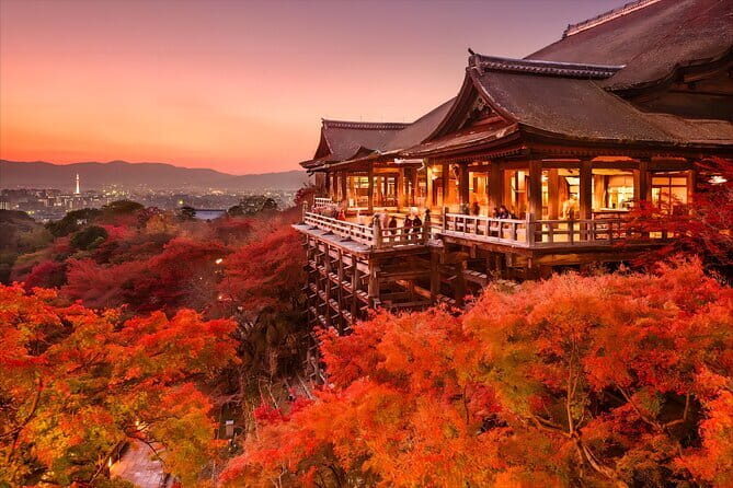 Kyoto and Nara Deer Sightseeing Day Trip From Osaka - Overview and What You Can Expect