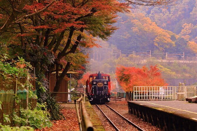 Kyoto and Nara Deer Sightseeing Day Trip From Osaka - What Do Reviewers Say?