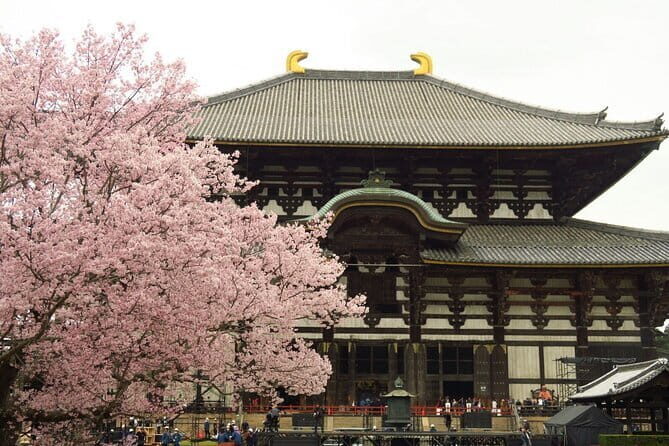 Kyoto and Nara Deer Sightseeing Day Trip From Osaka - The Sum Up