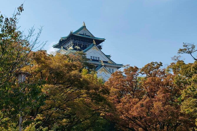 Kyoto and Nara Private Trip - Who is This Tour Best For?