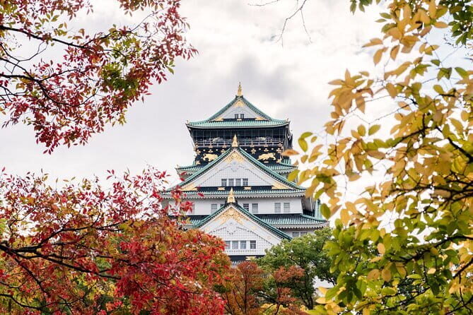 Kyoto and Nara UNESCO Highlights Full-day Tour From Osaka - What’s Included and What to Expect