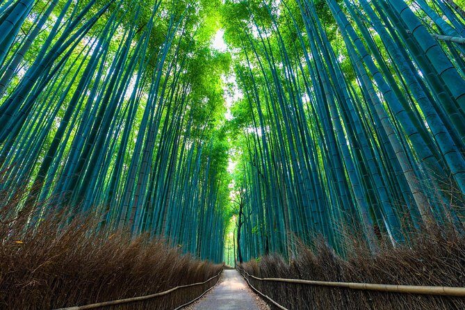 Kyoto Arashiyama Bamboo forest & Garden Half-Day Walking Tour - Analyzing Cost and Value