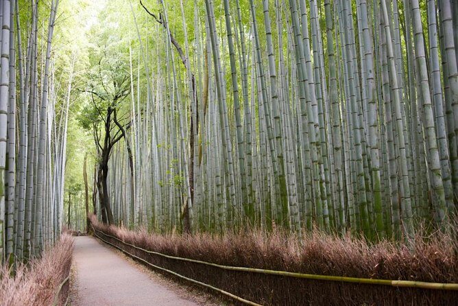 Kyoto Arashiyama Customized Private Tour with Licensed Guide - The Itinerary Breakdown: What You’ll See and Do