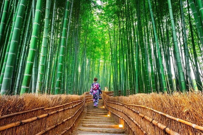 Kyoto Arashiyama Fushimi Inari Taisha Shrine and Nara Park Tour - FAQ