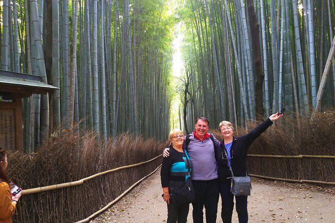 Kyoto Arashiyama & Golden Pavilion One-Day Walking Tour - The Experience: From Wildlife to Cultural Heritage