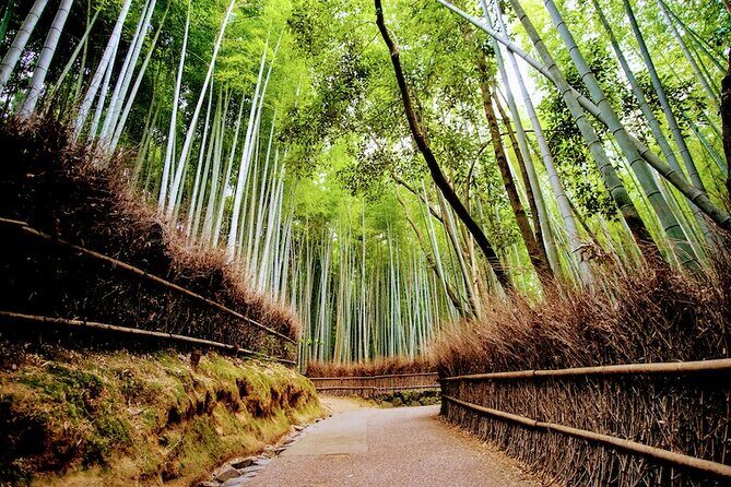 Kyoto Arashiyama Walking Tour - Bamboo, Monkeys, Temple & Secrets - FAQ
