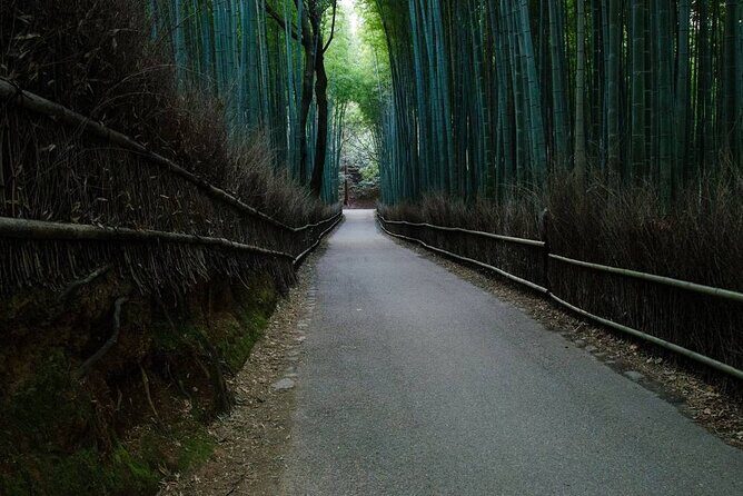 Kyoto Bamboo Forest & Golden Pavilion E-Bike Tour - Who Should Consider This Tour?