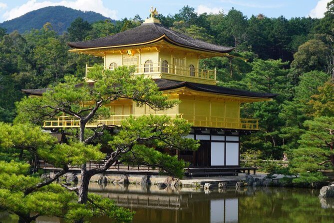 Kyoto Day Trip using Private Car with English Driver (up to 5) - Practical Aspects and What They Mean for You