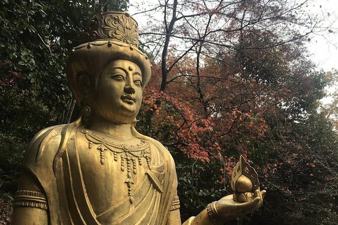 Kyoto: Descending Arashiyama (Private) - A Deep Dive into the Kyoto: Descending Arashiyama Tour