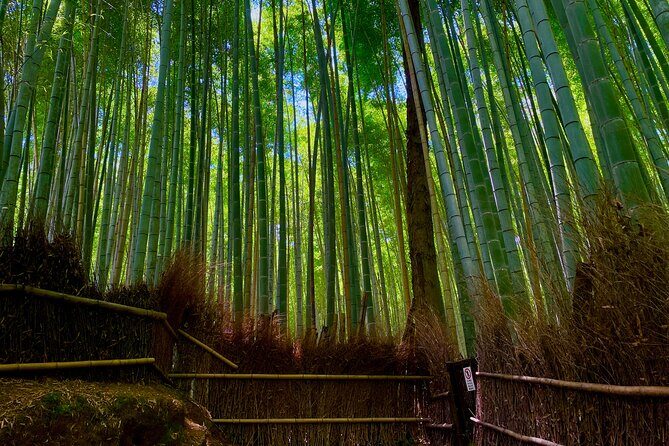 Kyoto Early Bird English Tour: Fushimi-Inari and Arashiyama - Who Would Love This Tour?