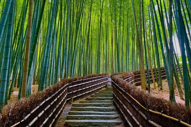 Kyoto Early Bird English Tour: Fushimi-Inari and Arashiyama - Final Thoughts