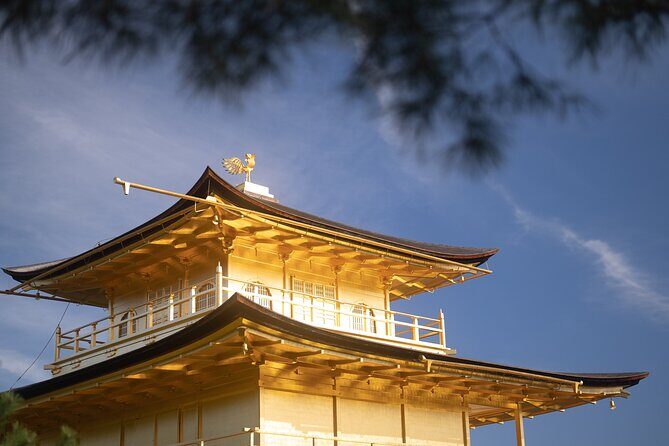 Kyoto Early Morning Tour with English-Speaking Guide - Group Size and Atmosphere
