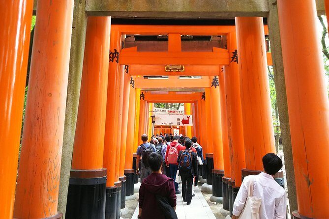 Kyoto Early Riser Platinum One-Day Walking Tour - Key Points
