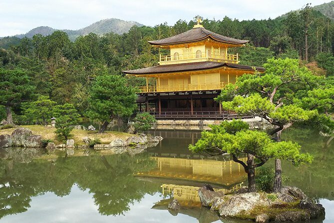 Kyoto Early Riser Platinum One-Day Walking Tour - Detailed Review of the Kyoto Early Riser Platinum Tour