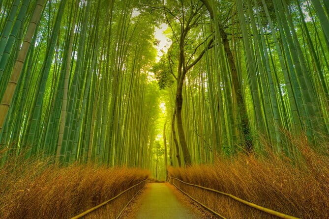 Kyoto Exclusive Private Tour with Vehicle & Professional Guide - Key Points