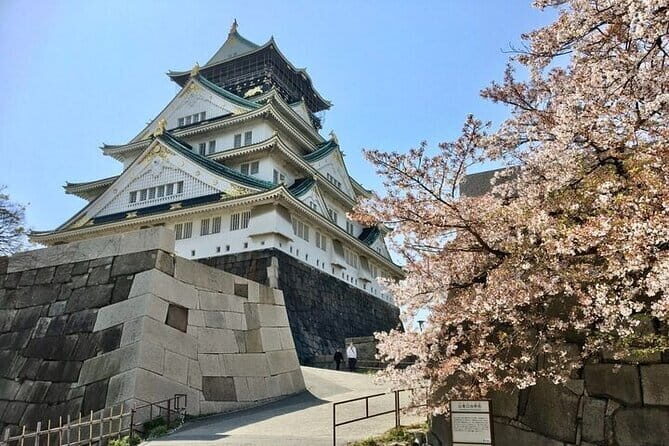 Kyoto Exclusive Private Tour with Vehicle & Professional Guide - FAQ