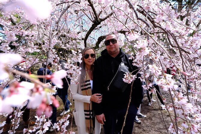 KYOTO Explore Top Highlights by Private Walking Tour - A Detailed Breakdown of the Kyoto Private Walking Tour