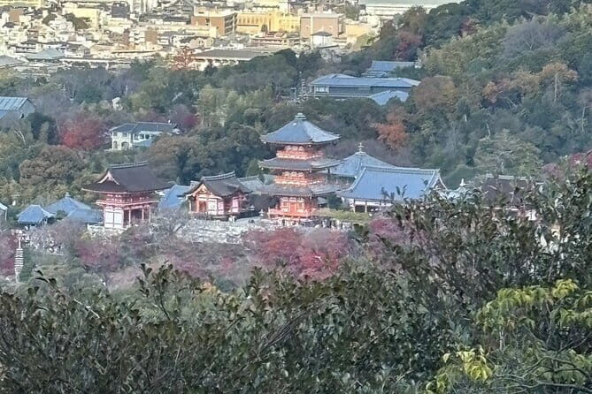 Kyoto from Above: Hike Mt. Amida with Kiyomizu Views - Who Is This Tour Best For?