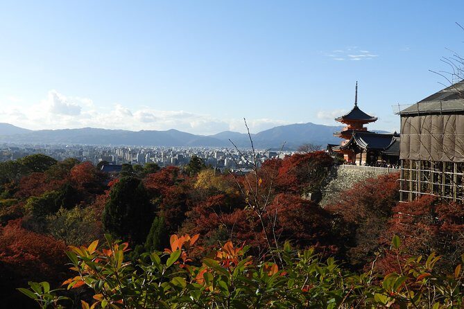 Kyoto Full Day (8 hours) Ultimate Sightseeing Private Tour - The Sum Up