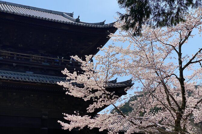 Kyoto Garden Tour and Mini Garden Making Experience - Who Will Love This Tour?